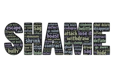 Introduction to Shame